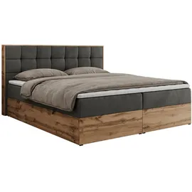 MKS Meble MKS Boxbett, Dunkelgrau Velvet - Grau