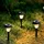Aktive Solarleuchte transparent/weiß 6er Set inkl. Gartenspieß
