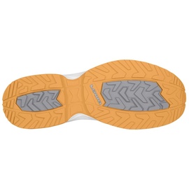 Lowa Innox Evo GTX Lo Damen graphit/melone 39,5