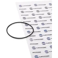 DR.MOTOR AUTOMOTIVE Dichtung, Unterdruckpumpe DRM0746