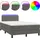 vidaXL Boxspringbett mit Matratze & LED Dunkelgrau 120x200 cm Samt