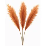layba Pampasgras Deko in Orange Boho - 3 Stück 100cm, Ideal für Hochzeitsdeko, Wohnzimmer – Schlafzimmer