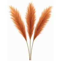layba Pampasgras Deko in Orange Boho - 3 Stück 100cm, Ideal für Hochzeitsdeko, Wohnzimmer – Schlafzimmer