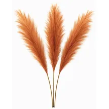 layba Pampasgras Deko in Orange Boho - 3 Stück 100cm, Ideal für Hochzeitsdeko, Wohnzimmer – Schlafzimmer