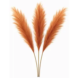 layba Pampasgras Deko in Orange Boho - 3 Stück 100cm, Ideal für Hochzeitsdeko, Wohnzimmer – Schlafzimmer