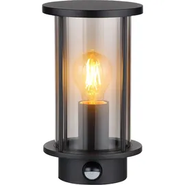 GLOBO Wandleuchte Außenlampe Fassadenleuchte Bewegungsmelder Glas Rauch Edelstahl Gartenleuchte, 1x E27, Hxb in cm: 25,2x14,3