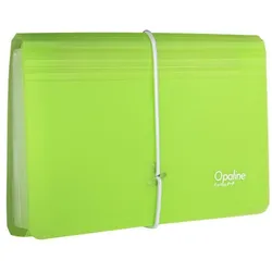 oxybag Fächermappe DL 13 Fächer OPALINE grün