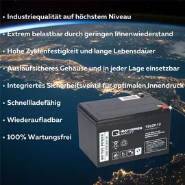 Q-Batteries 12lcp-12 12v - 13ah Blei Akku Zyklentyp Agm - Deep Cycle Vrla