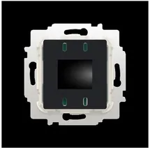 Busch-Jaeger Einsatz mit elektronischem ”Schließer” mit Display 2CKA001032A0535