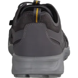 ECCO Terracruise LT Herren Grau 44