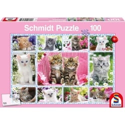 Puzzle Schmidt Spiele Puzzle Katzenbabys 100 Teile