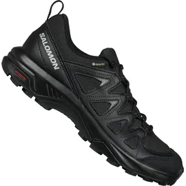 Salomon X Braze Gore-Tex Black / Black / Phantom 42