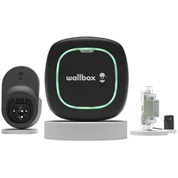 Netzstecker Wallbox