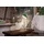 OTTO home Tischleuchte Akku Tischlampe Gerrin Indoor Outdoor, magnetischer Flaschenaufsatz, Dimmfunktion, Memoryfunktion, LED fest integriert, Warmweiß, Pilzlampe Flaschenaufsatz, Regulierung der Lichtstärke, Pilz, Lampe grün