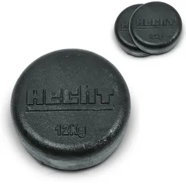 Hecht Radgewichte 007101 2er-Set 24 kg