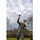 Korum Limitless Feederrute, 4,3 m, 220 g,