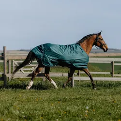 Equithème Tyrex 600D Outdoor Decke 0g, 6'0