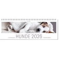 Ars vivendi Tischkalender Hunde 2026