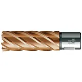 BDS Kernbohrer VARIOPlus lang KBI HSS Schaft Weldon 17/50mm