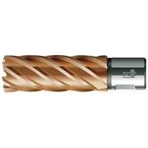 BDS Kernbohrer VARIOPlus lang KBI HSS Schaft Weldon 17/50mm