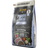 Belcando Puppy GF Poultry 4 kg