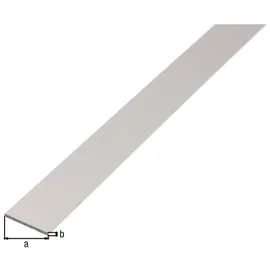 GAH Alberts Flachstange 1000 x 25 x 2 mm