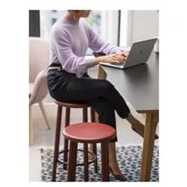 HP EliteBook 650 G10 Intel Core i5-1335U 16 GB RAM 512 GB SSD