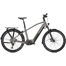 Kalkhoff Entice 7.B Move+ 2022 27,5 Zoll RH 43 cm Damen moonstonegrey matt