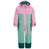 ANUP Mini Overall Ski eucalyptus stru 86