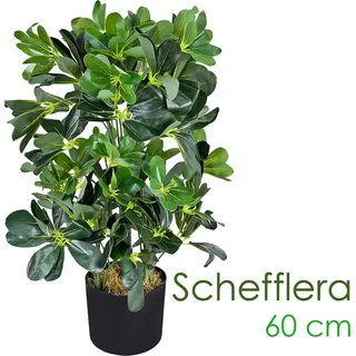 Decovego Schefflera Arboricola Kunstpflanze Kunstbaum Künstliche Pflanze 60 cm
