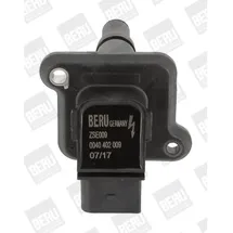 BorgWarner (Beru) Beru Zündspule