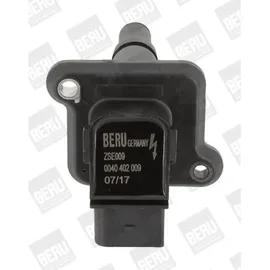 BorgWarner (Beru) Beru Zündspule