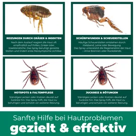 Silberkraft Kolloidales Silberspray für Haustiere 100 ml