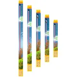 sera LED X-Change Tube plantcolor sunrise