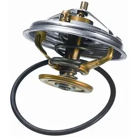 Wahler Thermostat, Kühlmittel