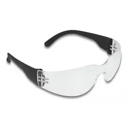 Delock Sicherheitsglas - Polycarbonat - Schwarz