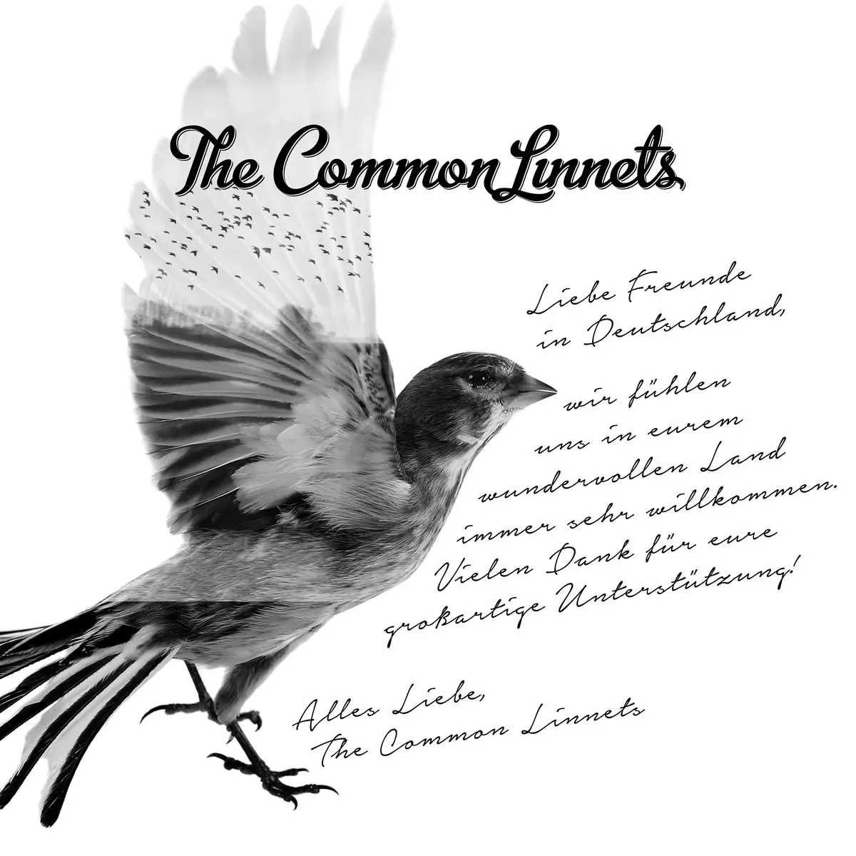 The Common Linnets (Limited Deluxe Edition) (Neu differenzbesteuert)