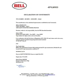 Giro Neo Mips Skihelm (Größe L - 59-62,5cm, schwarz)