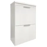 ARREGUI Ecoclas Plus CR621-E Recycling Abfalleimer / Mülleimer aus Stahl mit Aufbewahrungsbox mit Deckel, Mülltrennsystem mit entnehmbaren Inneneimern, aus