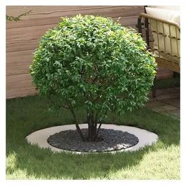 vidaXL geeignet für flachen Baumring Weiß Ø60/90 cm Stahl 873706