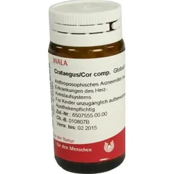 Arnica E Planta tota D2 Globuli