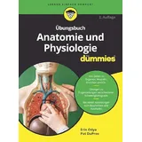Wiley Übungsbuch Anatomie und Physiologie für Dummies