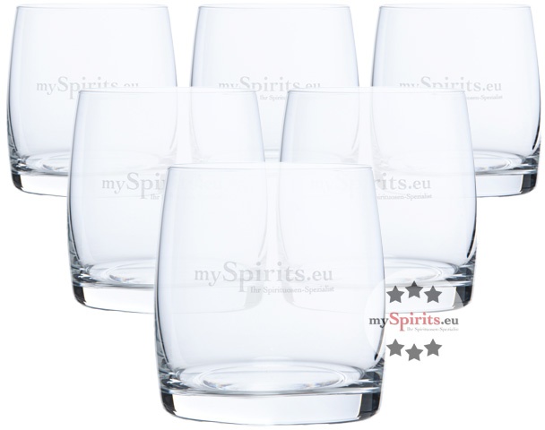 6 x mySpirits Gin und Whisky Tumbler Glas