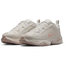 Nike Air Monarch IV Light Bone/Sanddrift/Spruce Aura 42