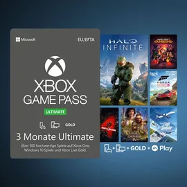 Medion Erazer Beast X40 17'' Intel Core i9-14900HX 32 GB RAM 2 TB SSD RTX 4090 Win 11 Home Schwarz