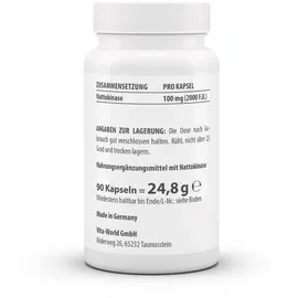 Vita-World GmbH Vitaworld Nattokinase Kapseln 90 St.