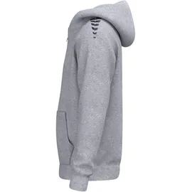 Erima CMPT Wings Kapuzenjacke Herren Grau Melange XS