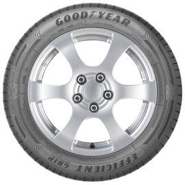 Goodyear EfficientGrip Performance 205/55 R16 91W