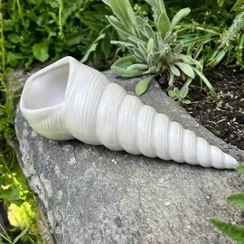 ZGM Betonfigur Muschel - längliche Muschelfigur mit viel Charme und Charakter
