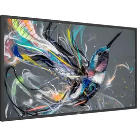 Philips 32BDL3650Q 32" schwarz